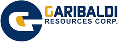 GGI_Logo.jpg
        