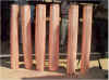 ics2.jpg (36444 bytes)