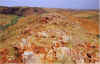 moly1.jpg (52383 bytes)
