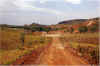 moly3.jpg (36990 bytes)