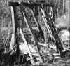 q-gold5.jpg (69780 bytes)